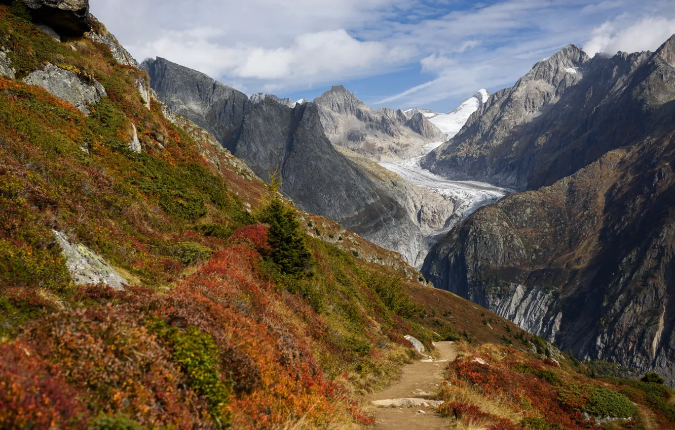 Photo wallpaper mountains, Switzerland, glacier