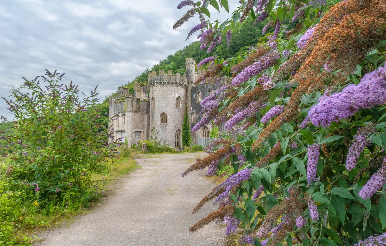 Photo wallpaper road, flowers, castle, tower, Wales, Grych Castle