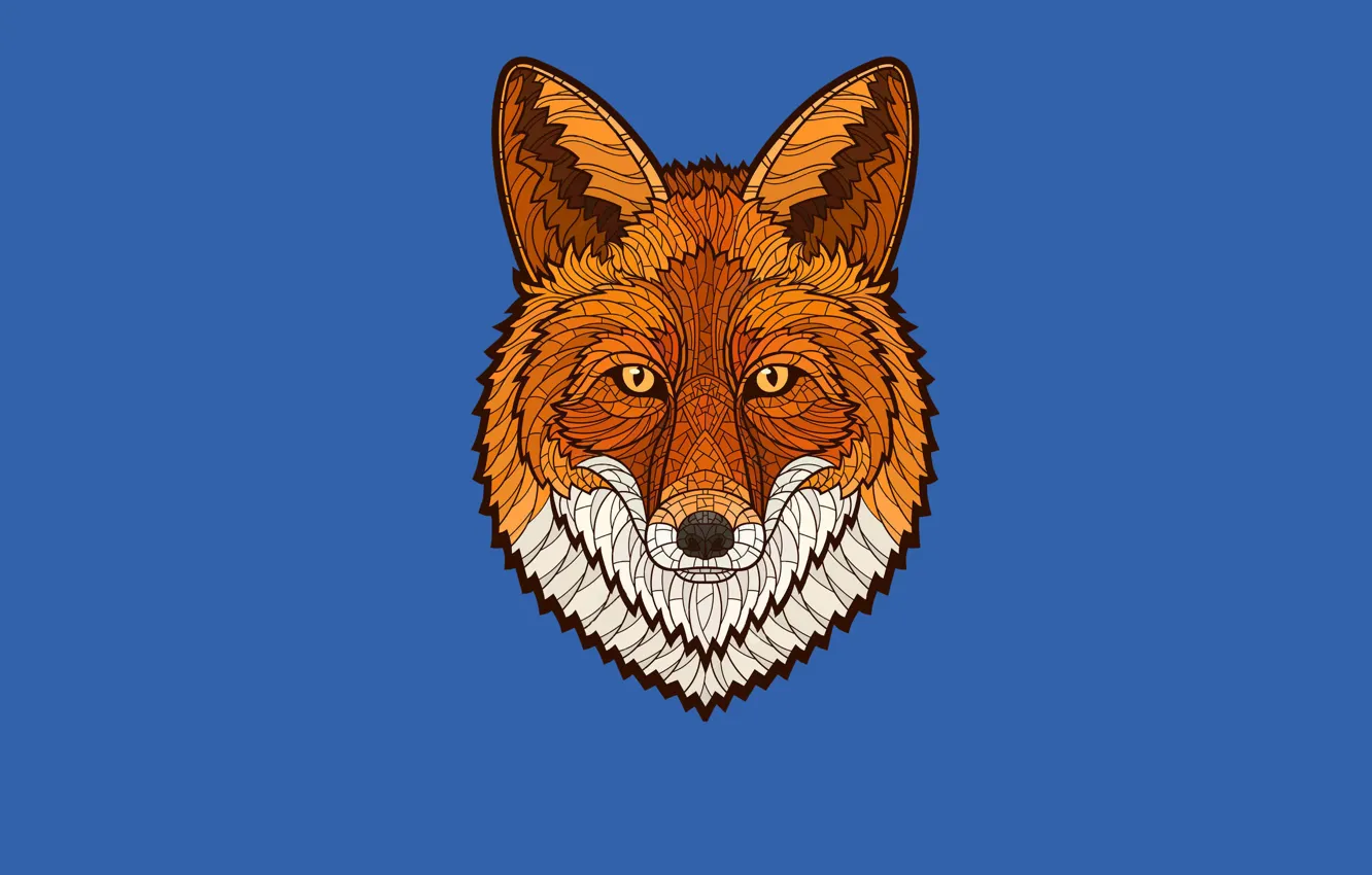 Photo wallpaper face, minimalism, Fox, fox