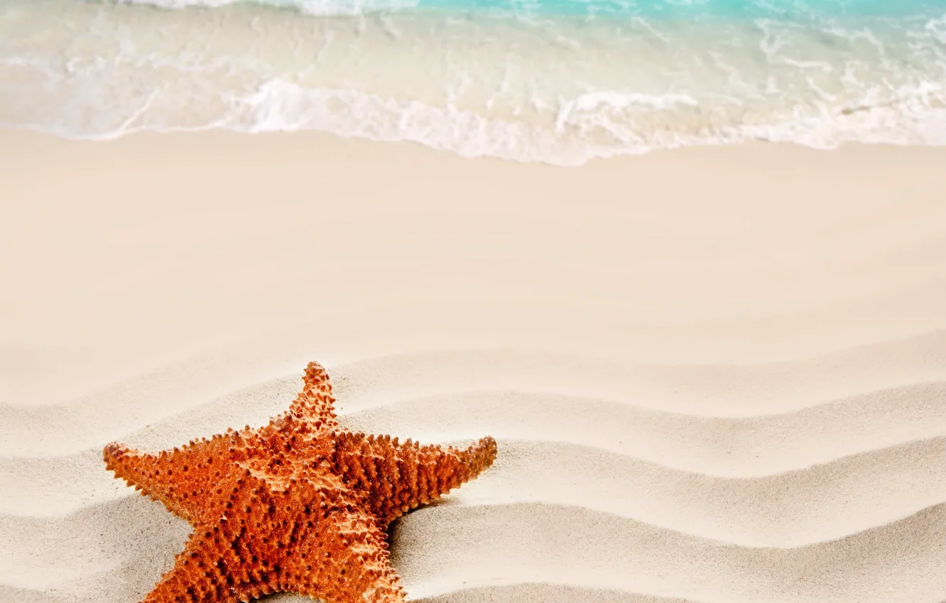 Photo wallpaper sand, beach, summer, Sea, beach, sea, nature, sand