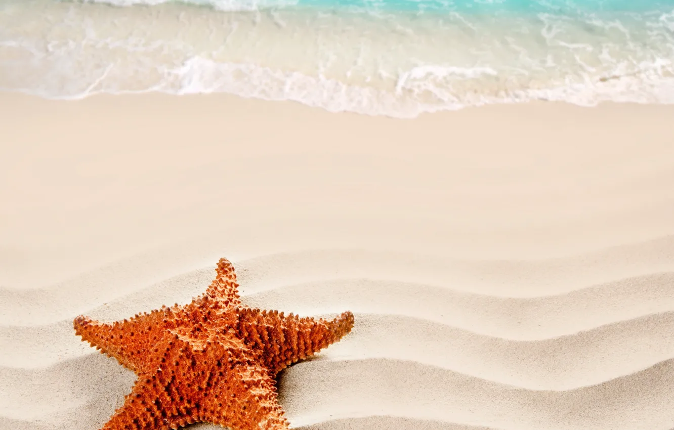 Photo wallpaper sand, sea, beach, summer, beach, sea, nature, sand