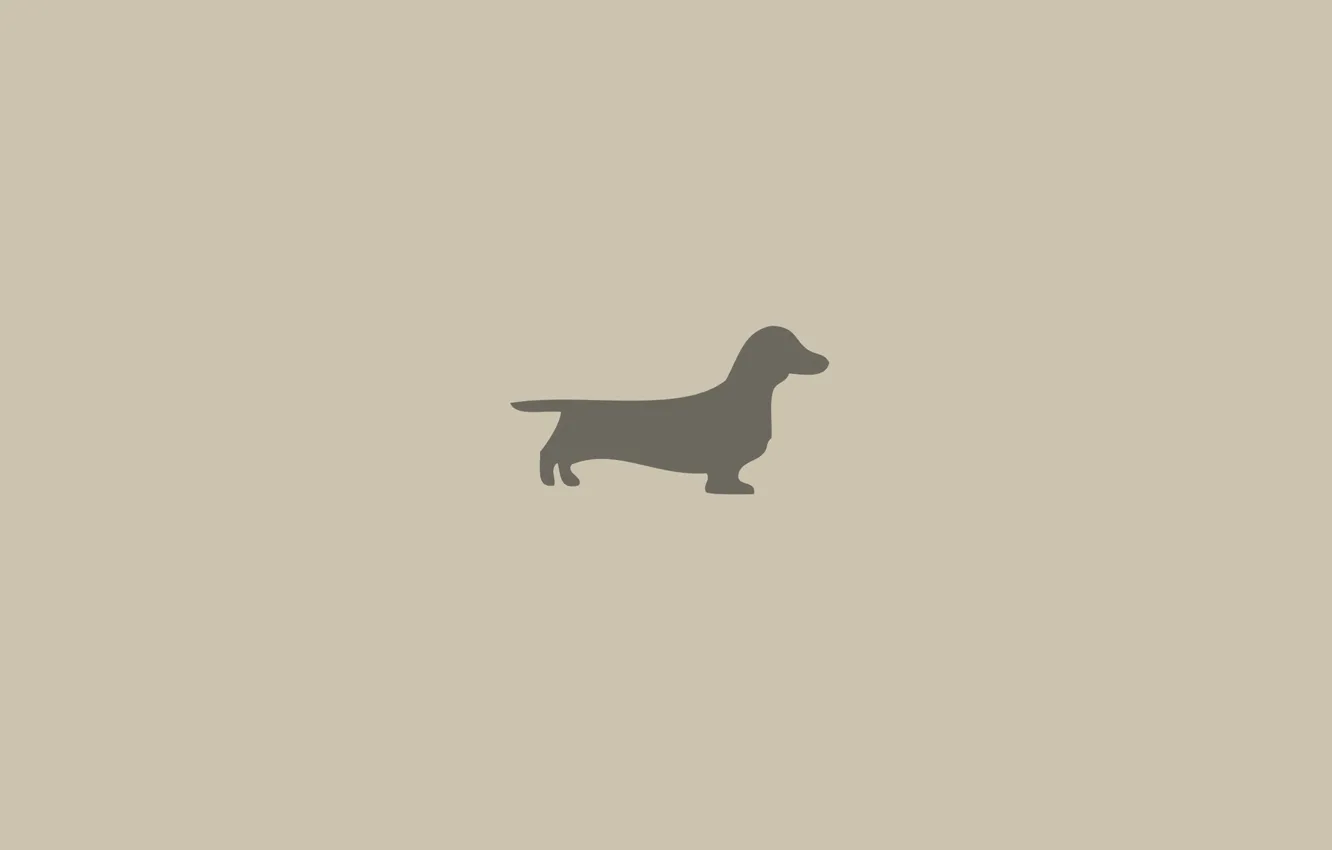 Photo wallpaper dog, silhouette, Dachshund