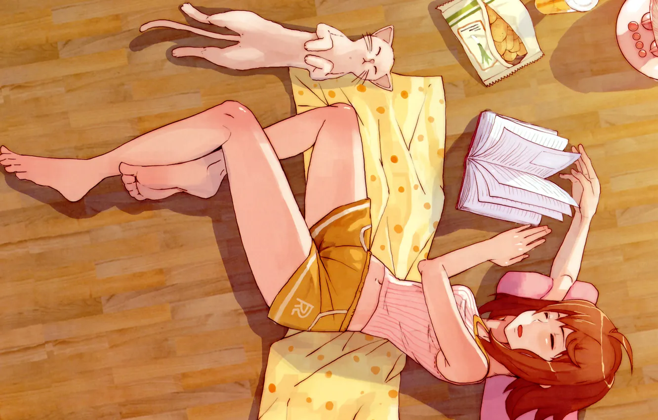 Photo wallpaper cat, sleep, girl, floor, book, chips