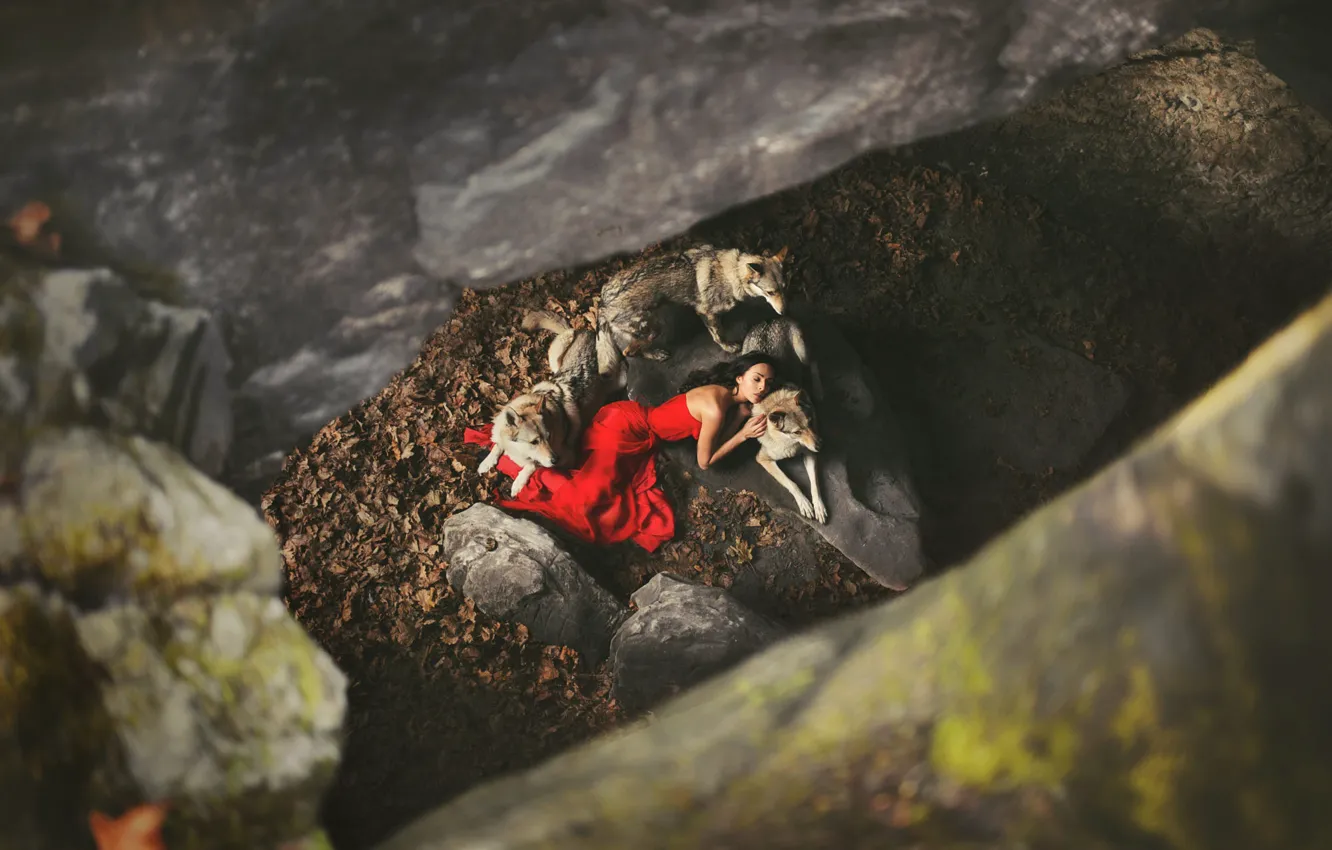 Photo wallpaper leaves, girl, pose, style, stones, grey, rocks, wolf