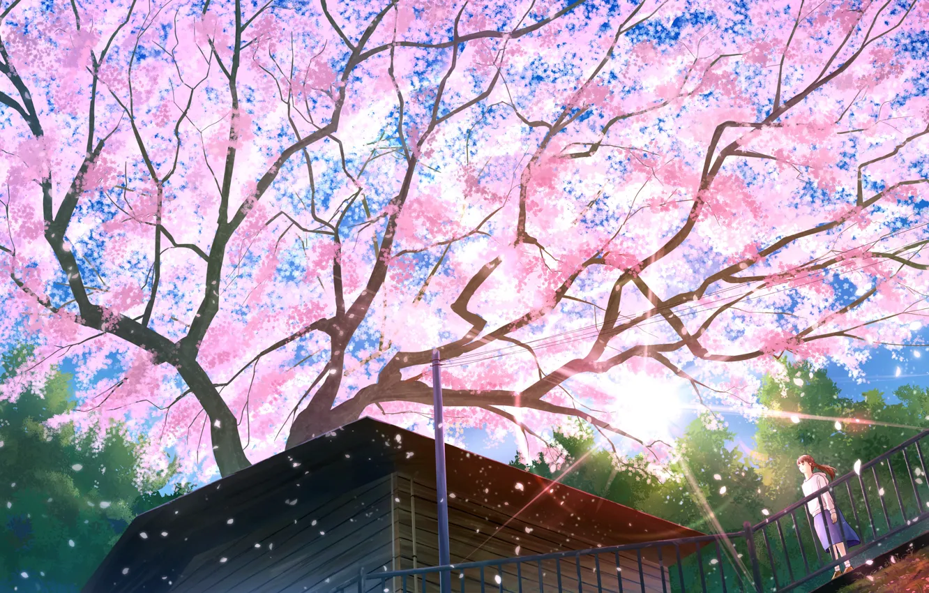 Photo wallpaper roof, house, tree, spring, Sakura, the bridge