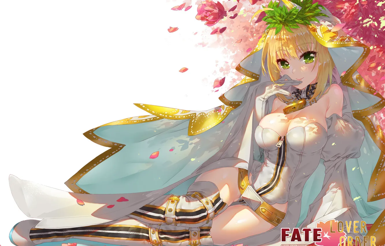 Photo wallpaper anime, oppai, bishojo, light novel, japonese, Fate Series, FateExtra Fate