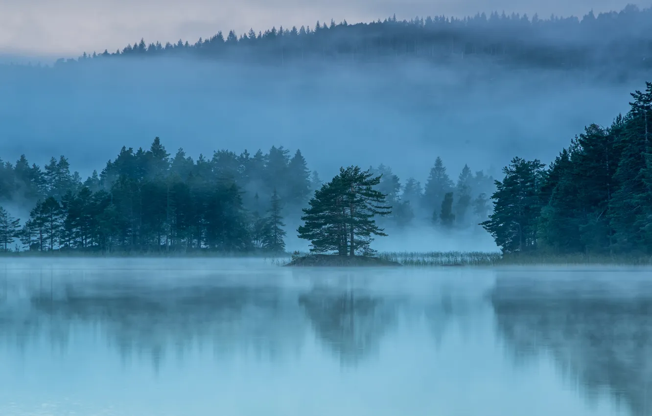Photo wallpaper forest, trees, mountains, fog, lake, blue, ate, haze