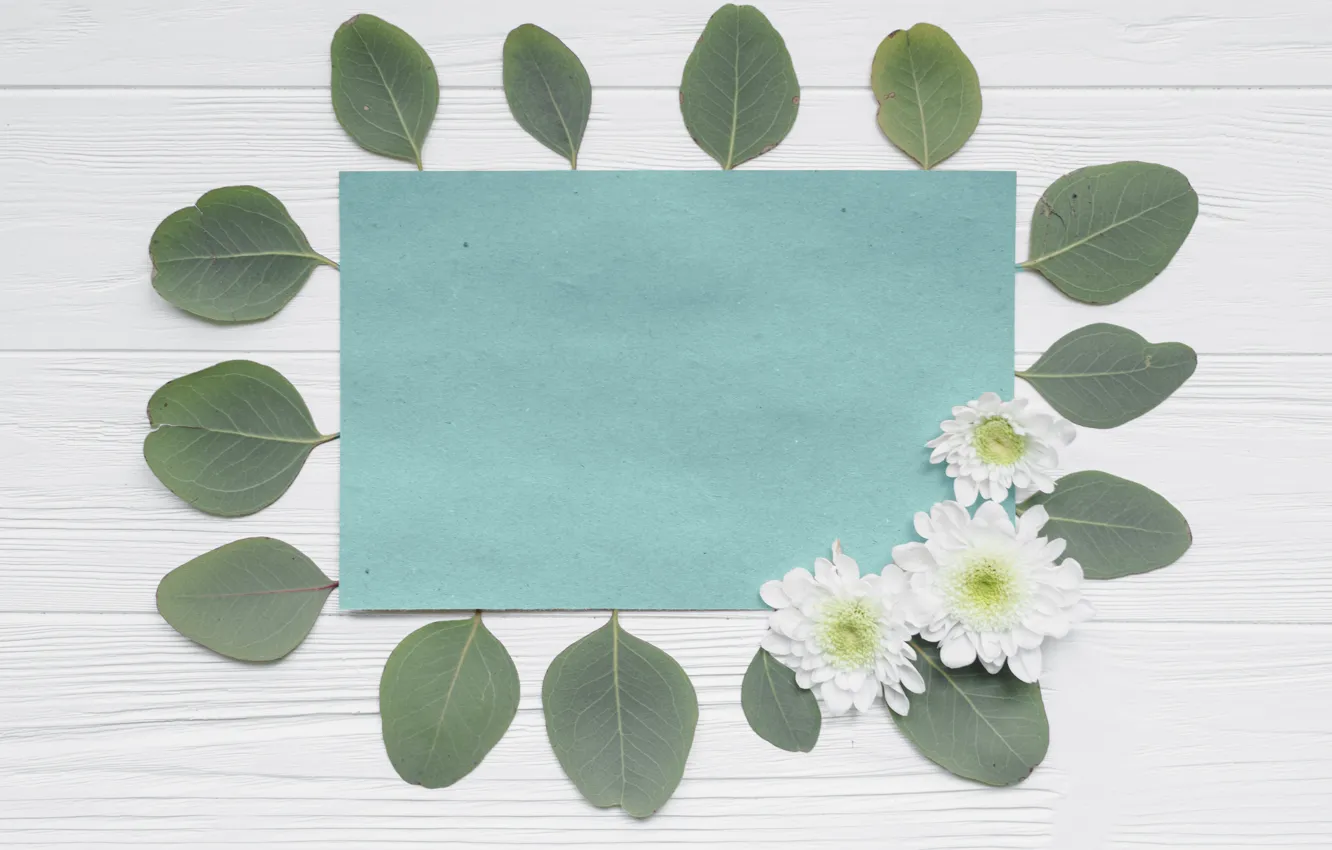 Photo wallpaper Paper, Leaves, Chrysanthemum