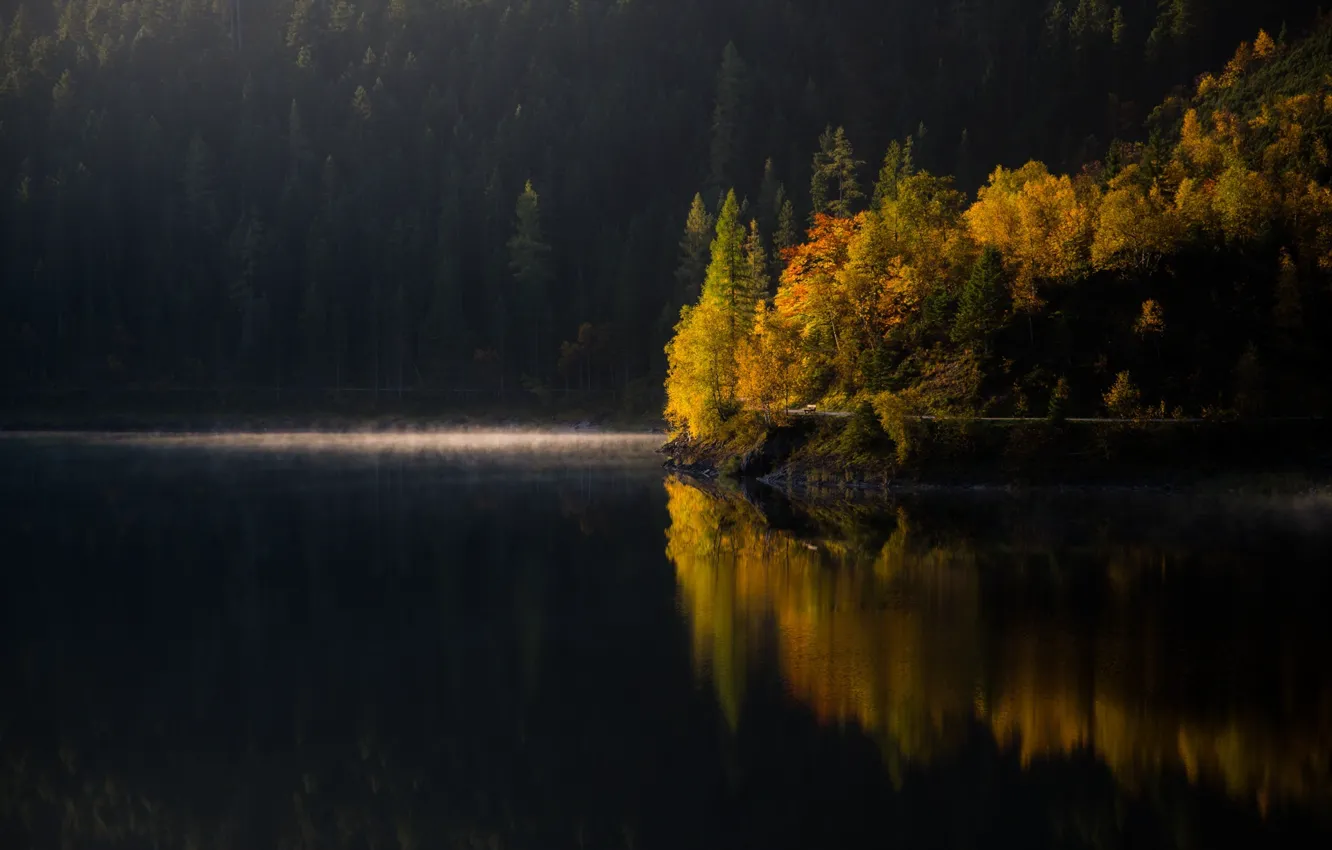 Photo wallpaper autumn, forest, trees, lake, morning