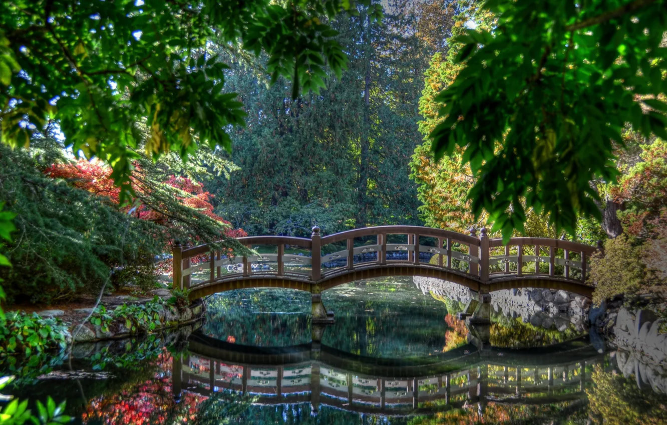 Photo wallpaper pond, Park, the bridge, Japanese garden