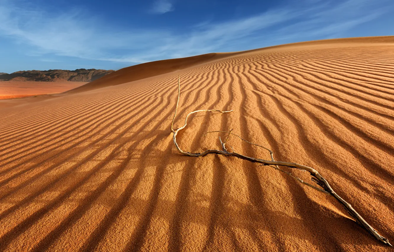 Photo wallpaper sand, the sky, clouds, branches, the dunes, desert, dunes