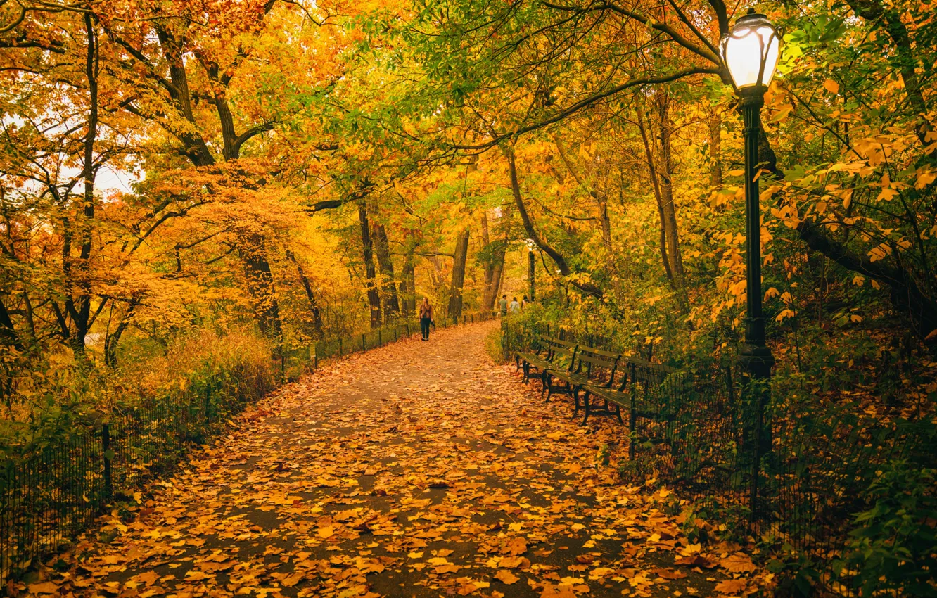 Photo wallpaper autumn, leaves, trees, bench, the way, people, New York, Central Park