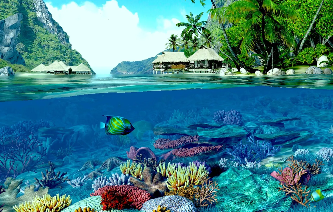 Photo wallpaper water, transparency, palm trees, the ocean, resort, Laguna, Bungalow