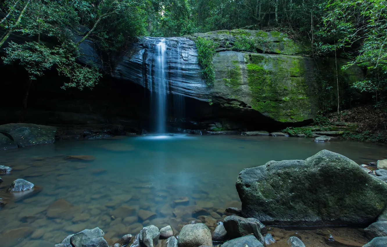 Photo wallpaper the sky, trees, stream, stones, rocks, waterfall, moss, the bottom