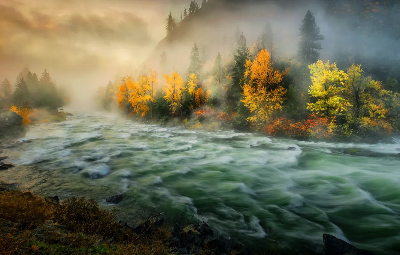 Photo wallpaper autumn, trees, fog, river, morning, Washington State, Washington, Wenatchee River
