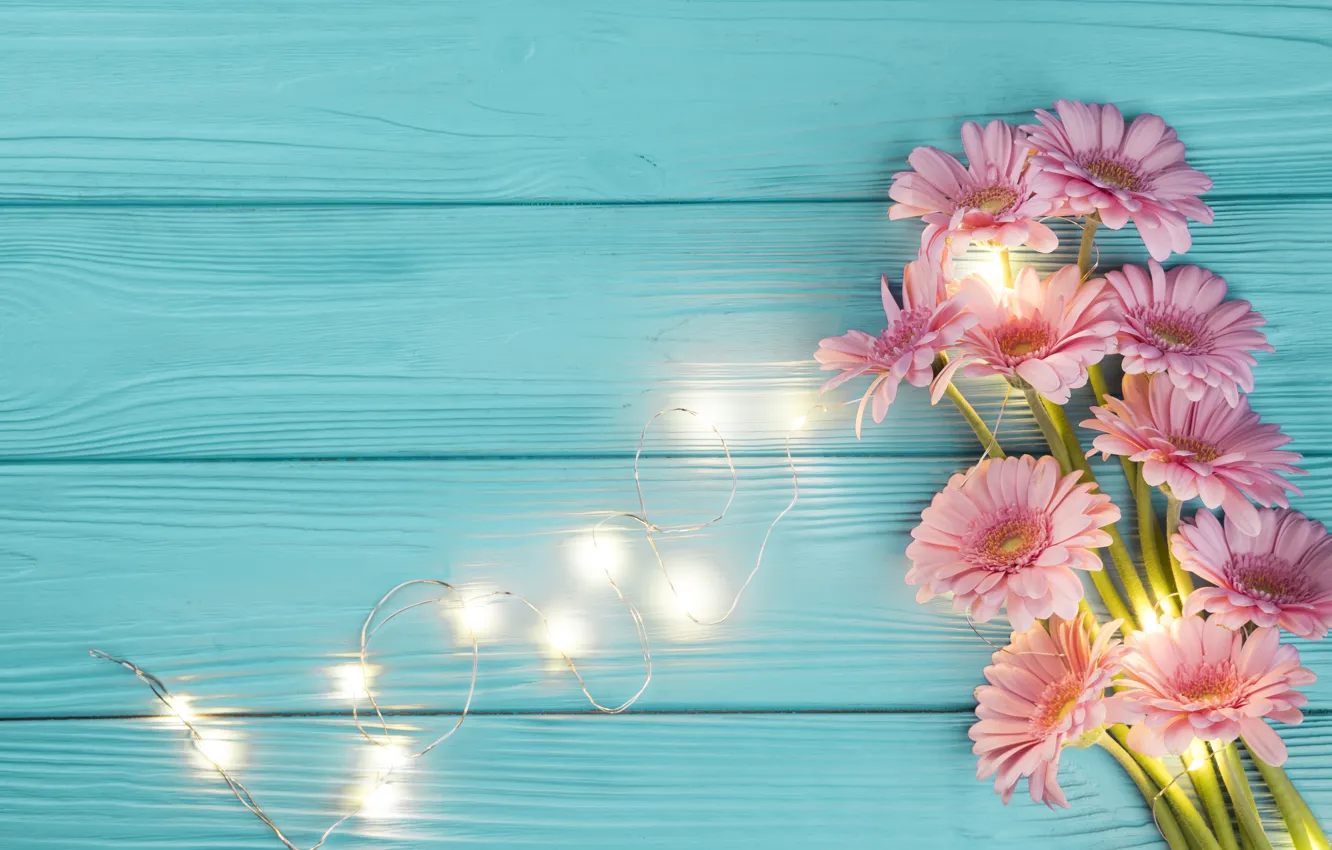 Photo wallpaper background, blue, bouquet, pink, gerbera, flowers, beautiful, composition