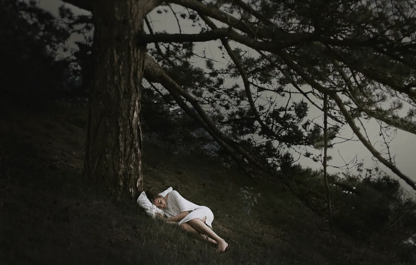 Photo wallpaper girl, trees, night