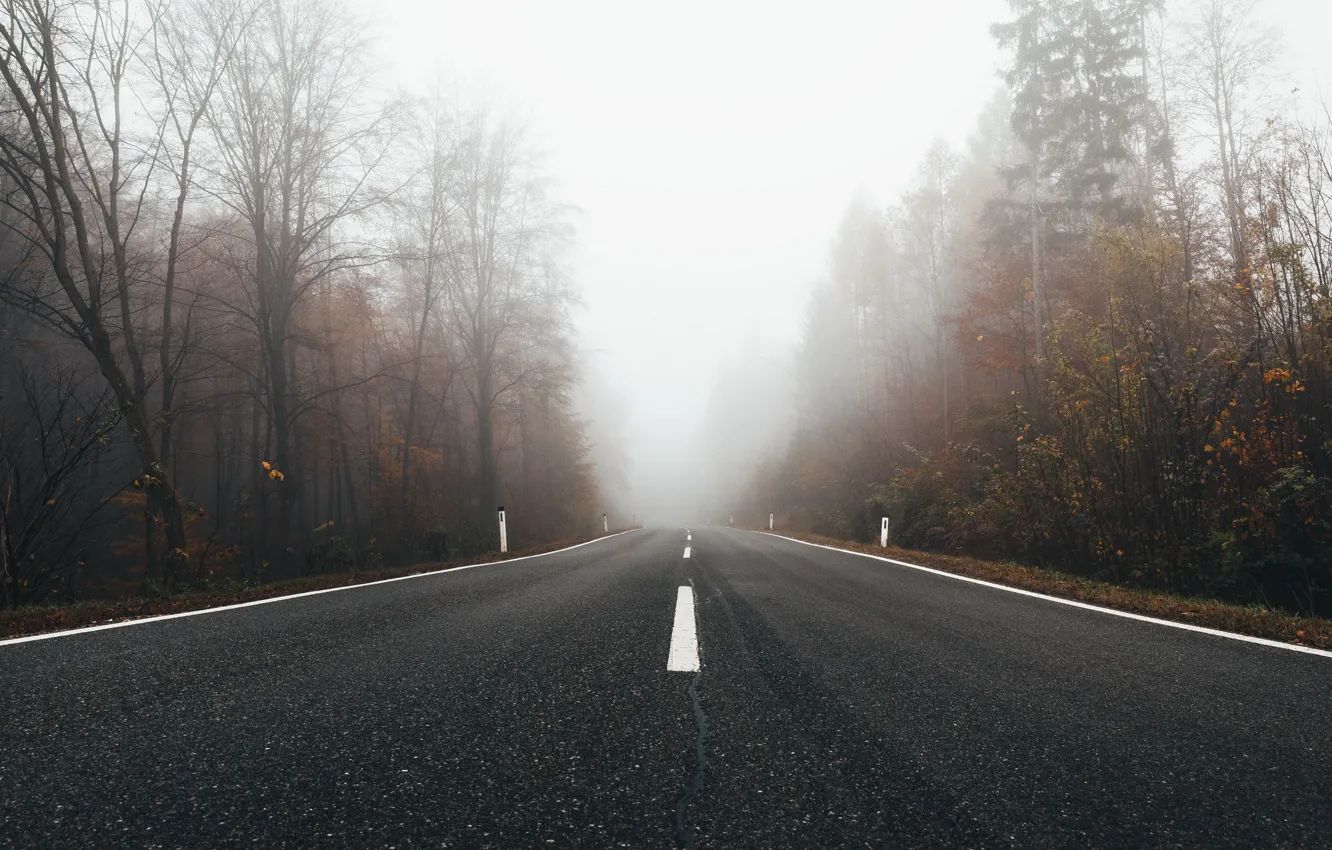 Photo wallpaper road, forest, fog