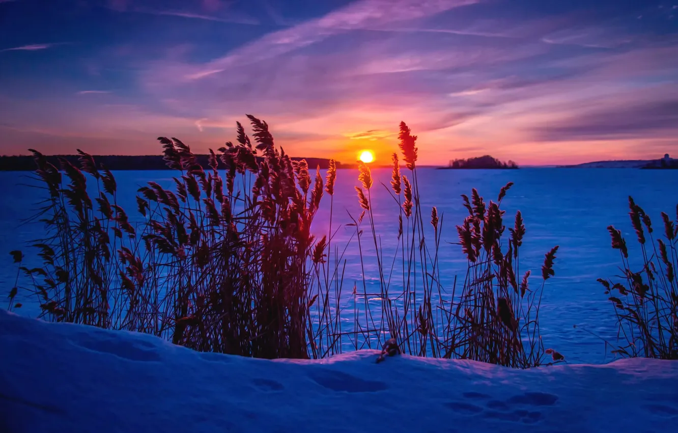 Photo wallpaper winter, snow, treatment, Frosty sunset