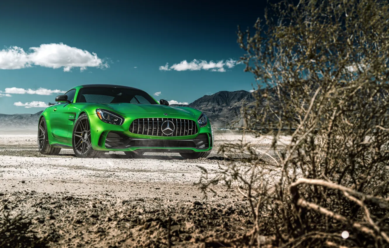 Photo wallpaper the sky, nature, green, style, the bushes, the front, Mercedes GTR