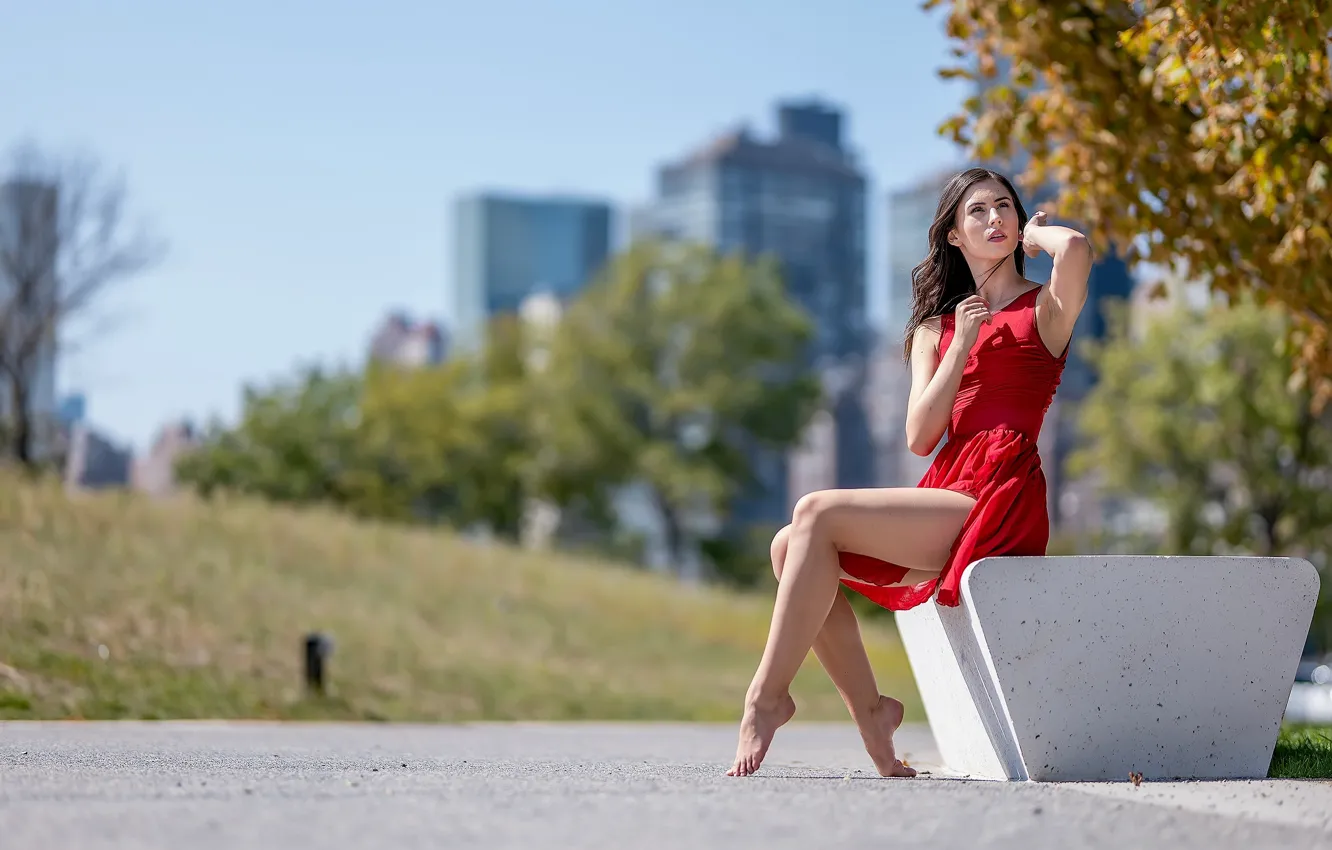 Photo wallpaper girl, the city, molly