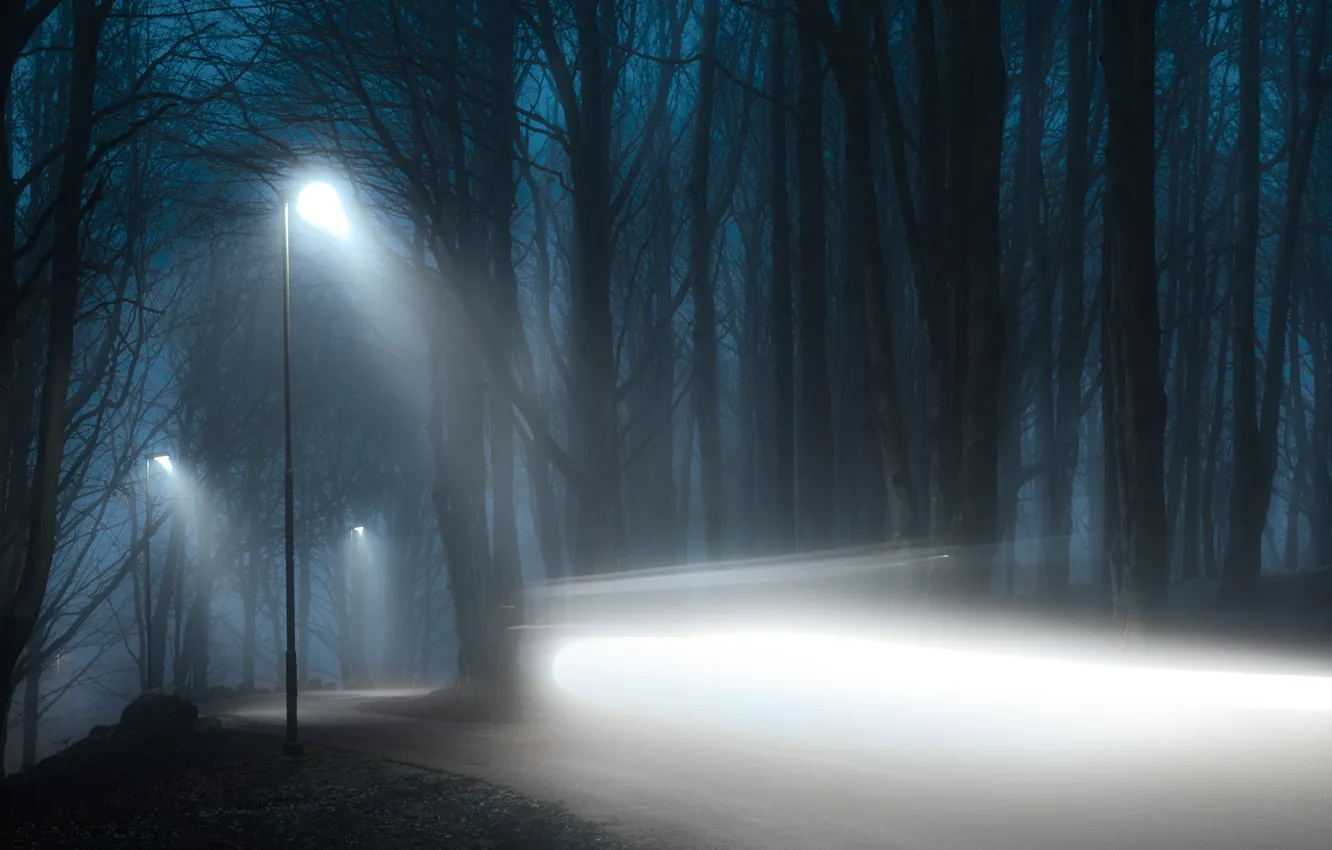Photo wallpaper road, forest, light, trees, night, branches, fog, darkness