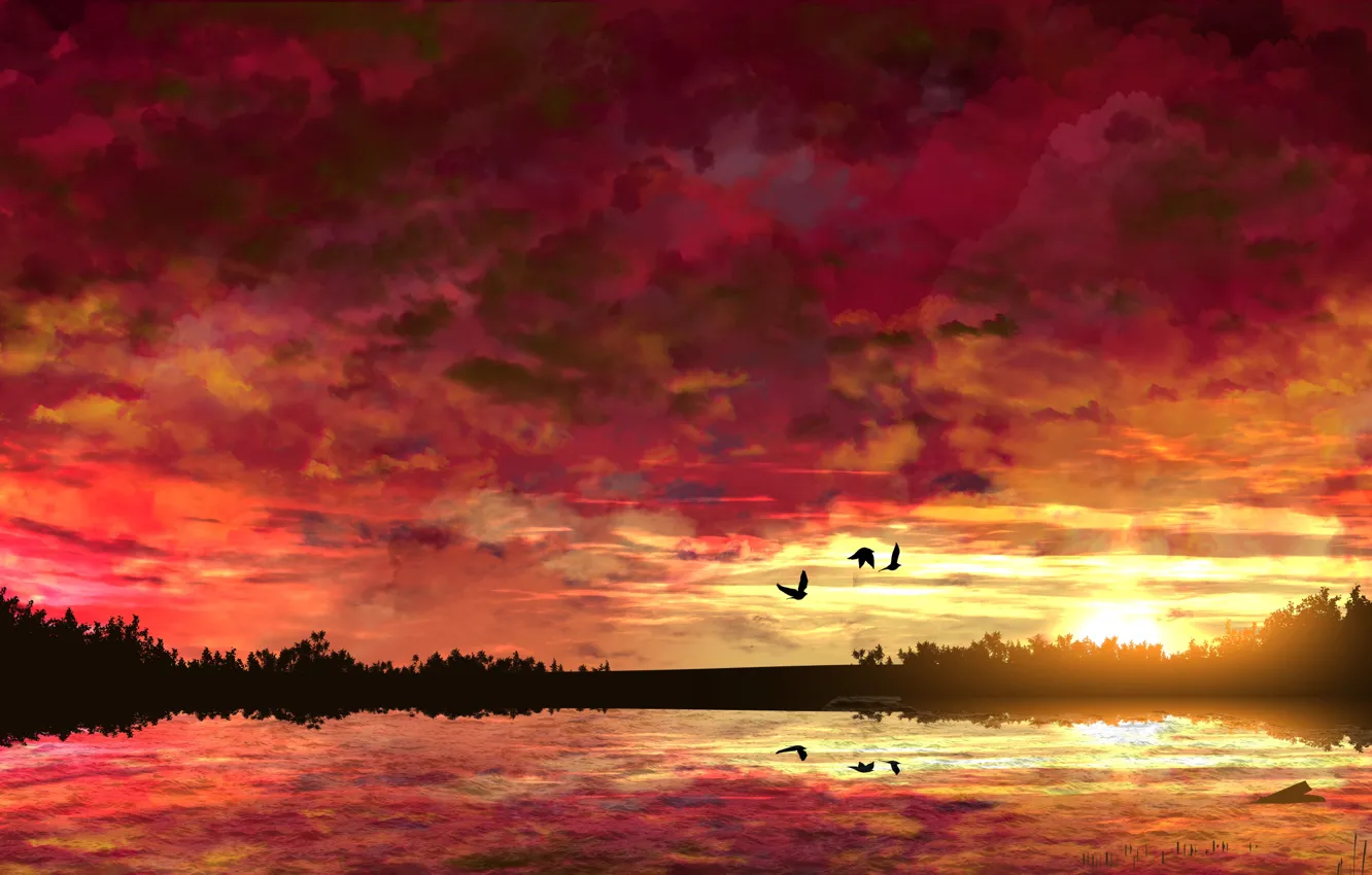 Photo wallpaper water, the sun, trees, sunset, birds