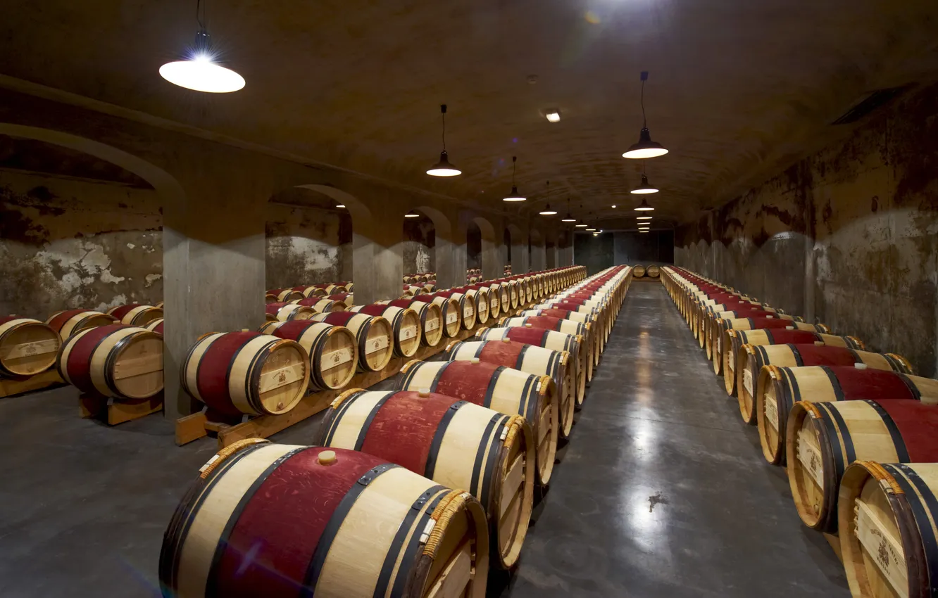 Photo wallpaper Cave, Wine, Barrel, Margaux, Oak casks