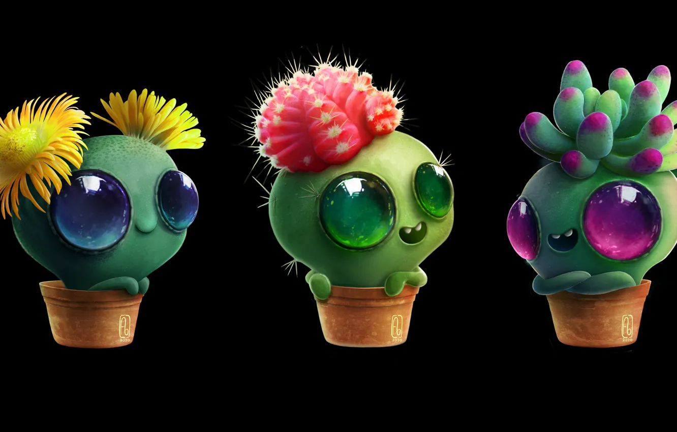 Photo wallpaper flowers, cactus, succulents, by Florianne Becker, lithops