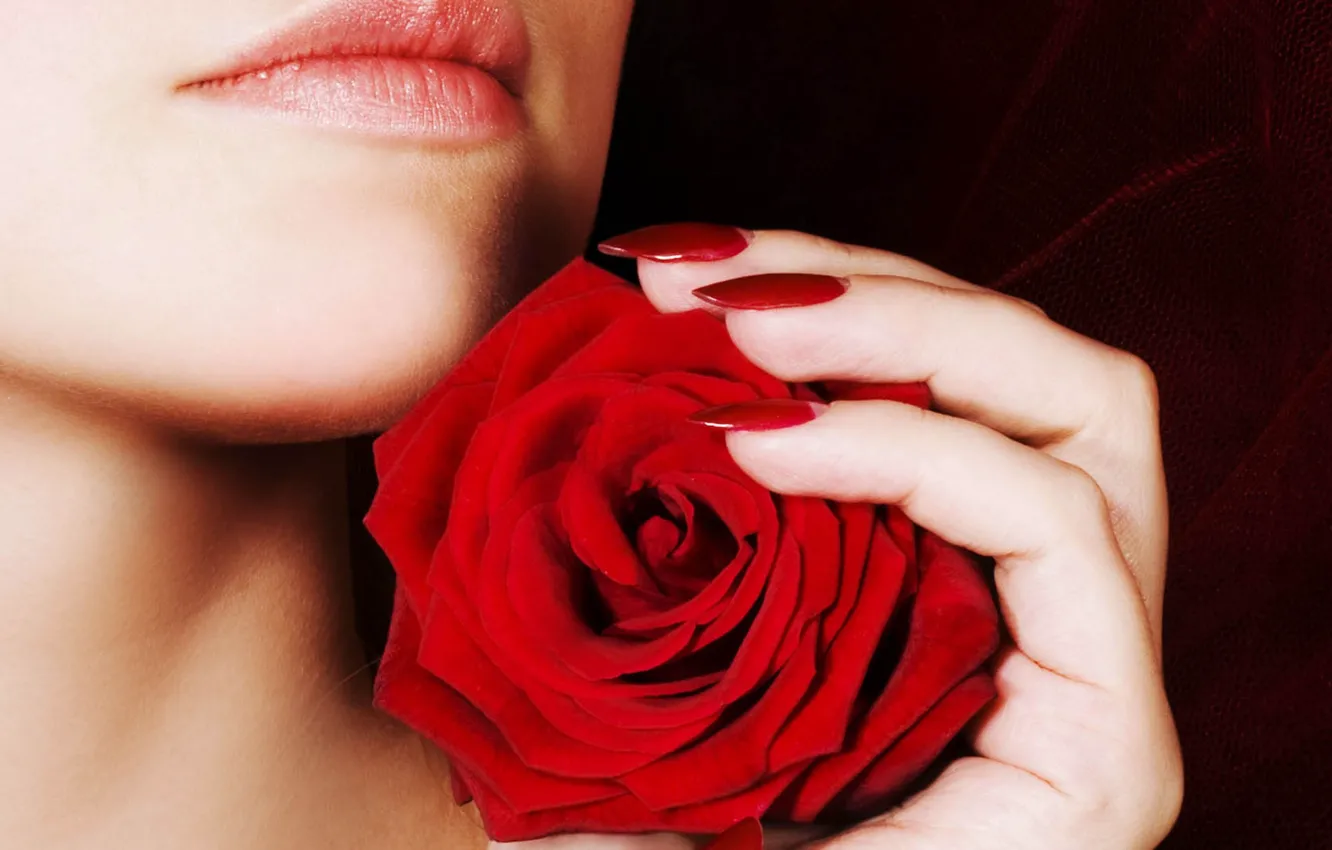 Photo wallpaper Girl, Red, Rose, Manicure