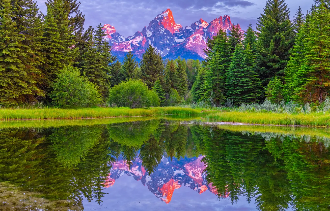 Photo wallpaper forest, landscape, mountains, lake, USA, Grand Teton National Park