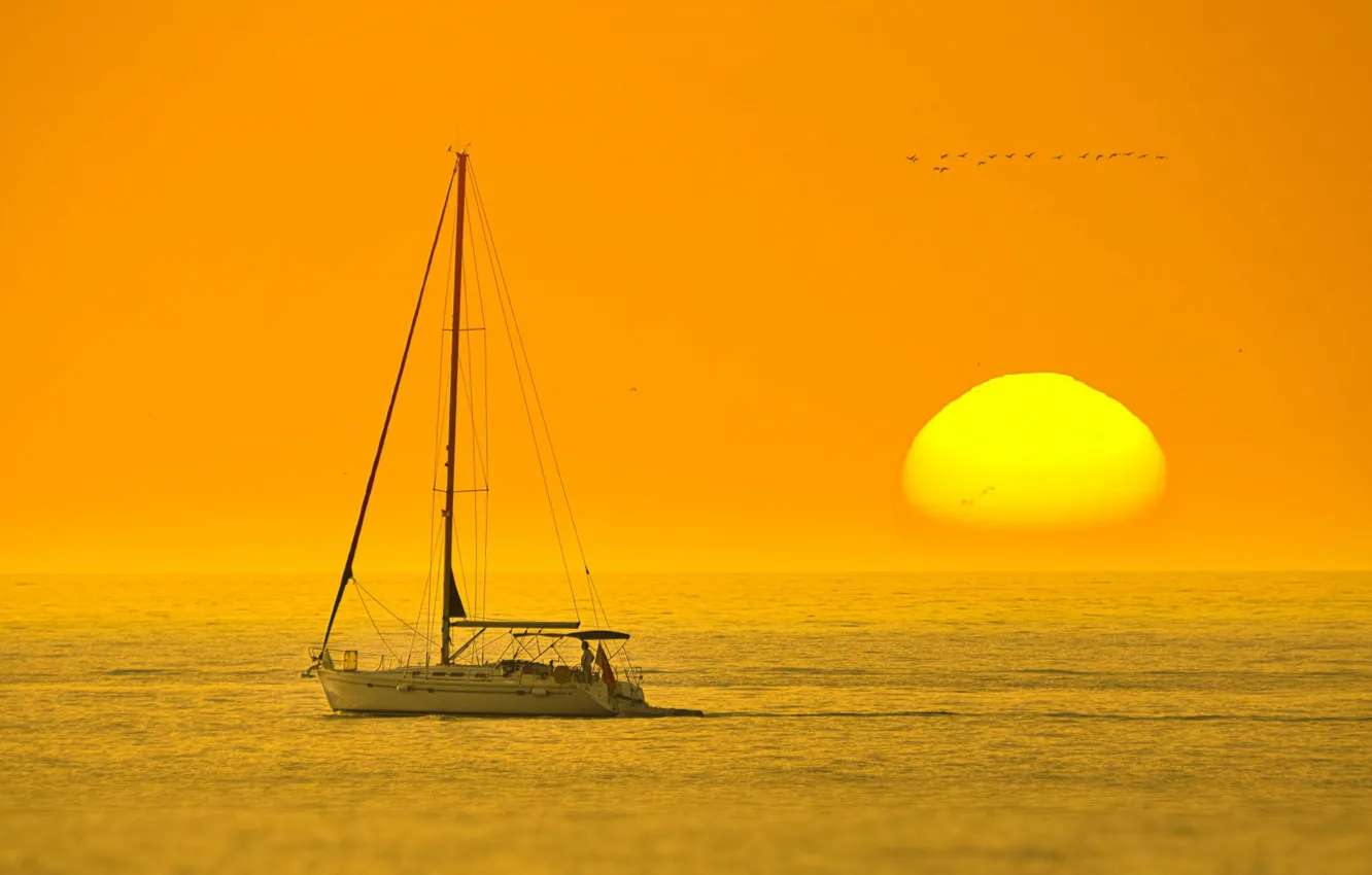 Photo wallpaper sea, the sun, sunset, yacht, horizon
