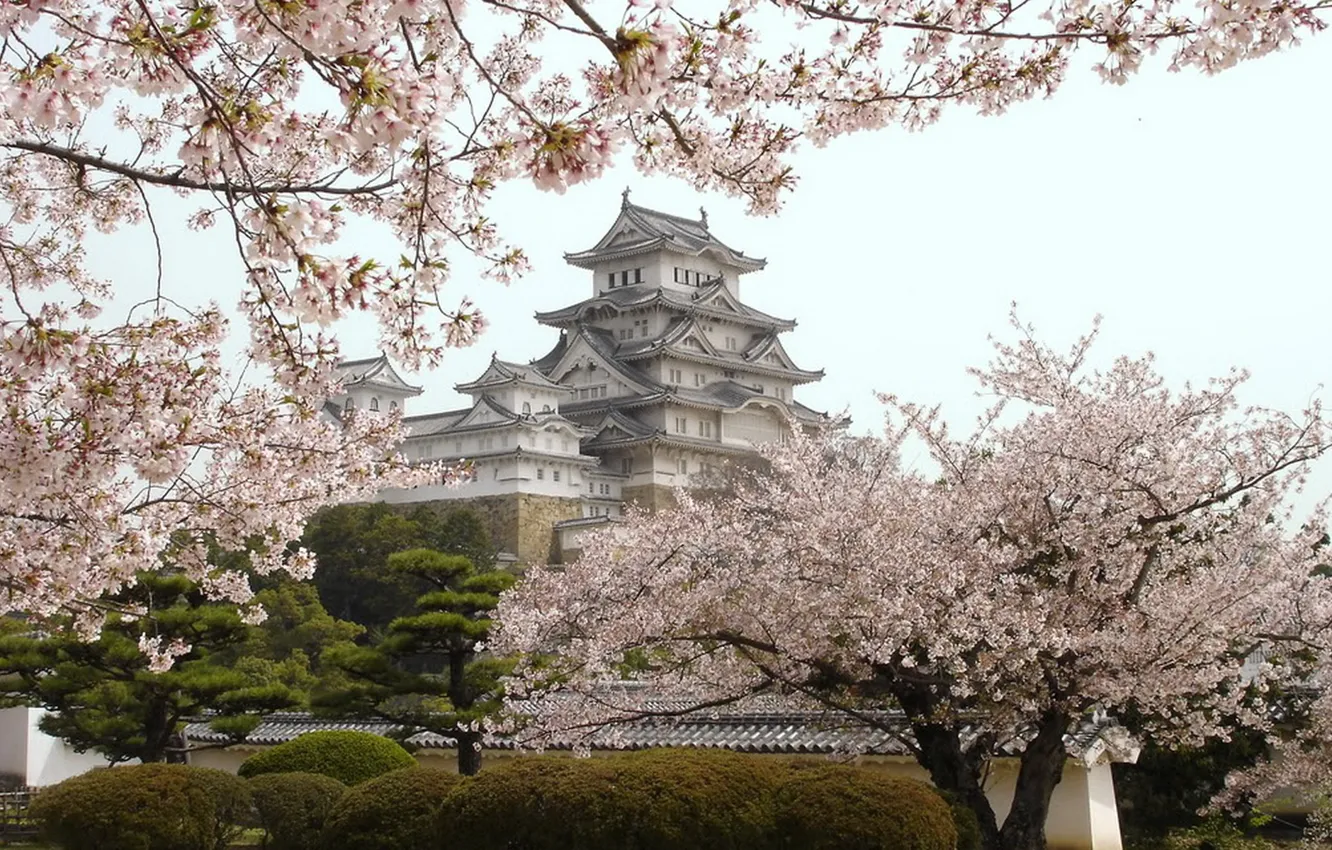 Photo wallpaper castle, Japan, Japan, flowering, Himedzi