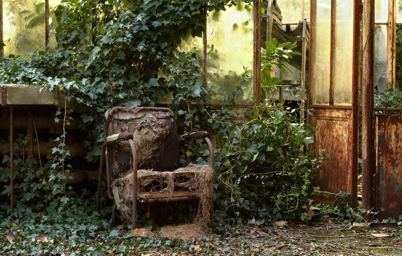 Photo wallpaper chair, the door, window