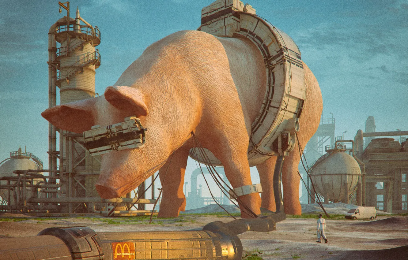 Photo wallpaper transport, plant, people, pig, MCD 2085