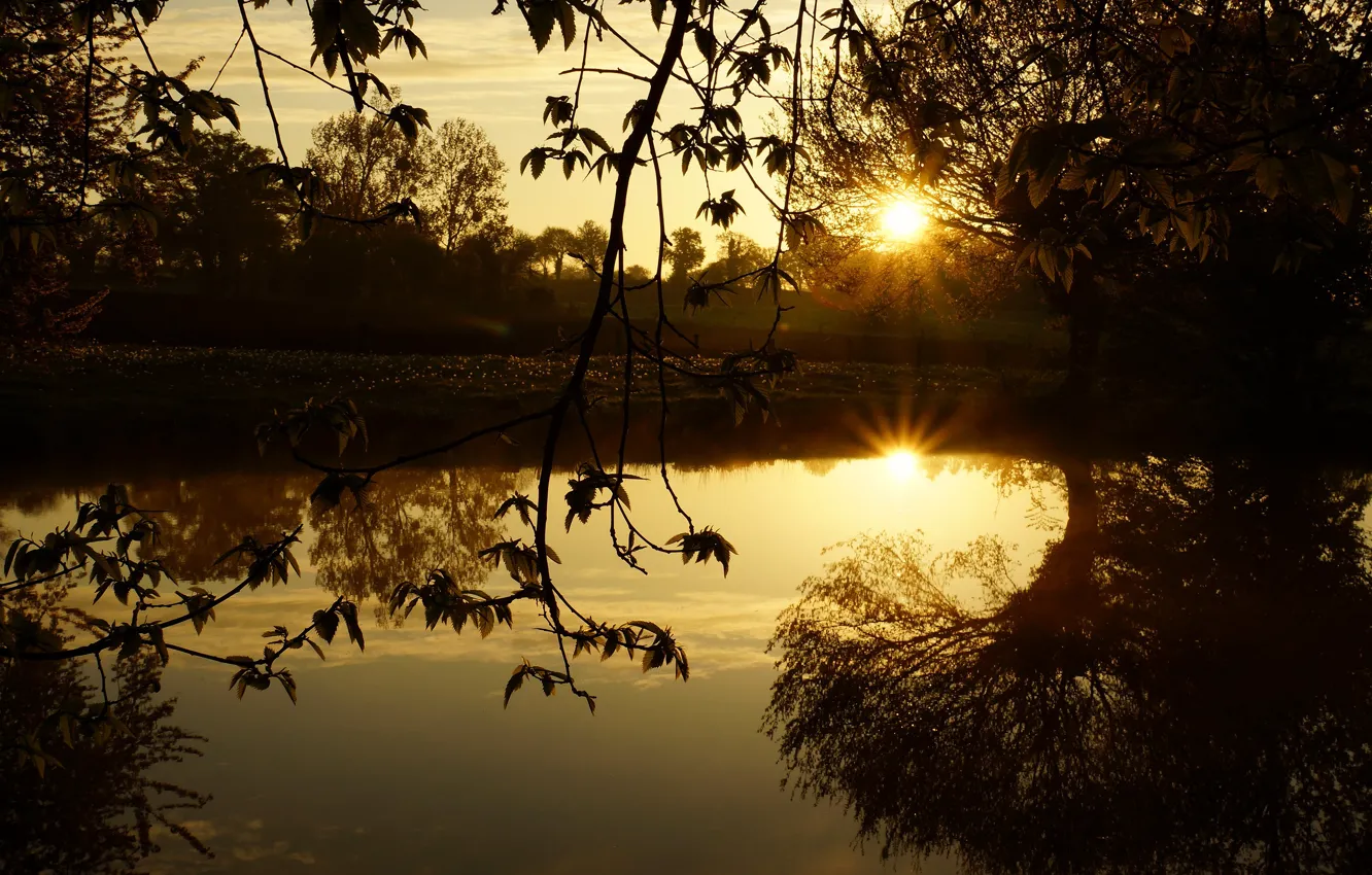 Photo wallpaper leaves, the sun, light, sunset, branches, lake, reflection, pond