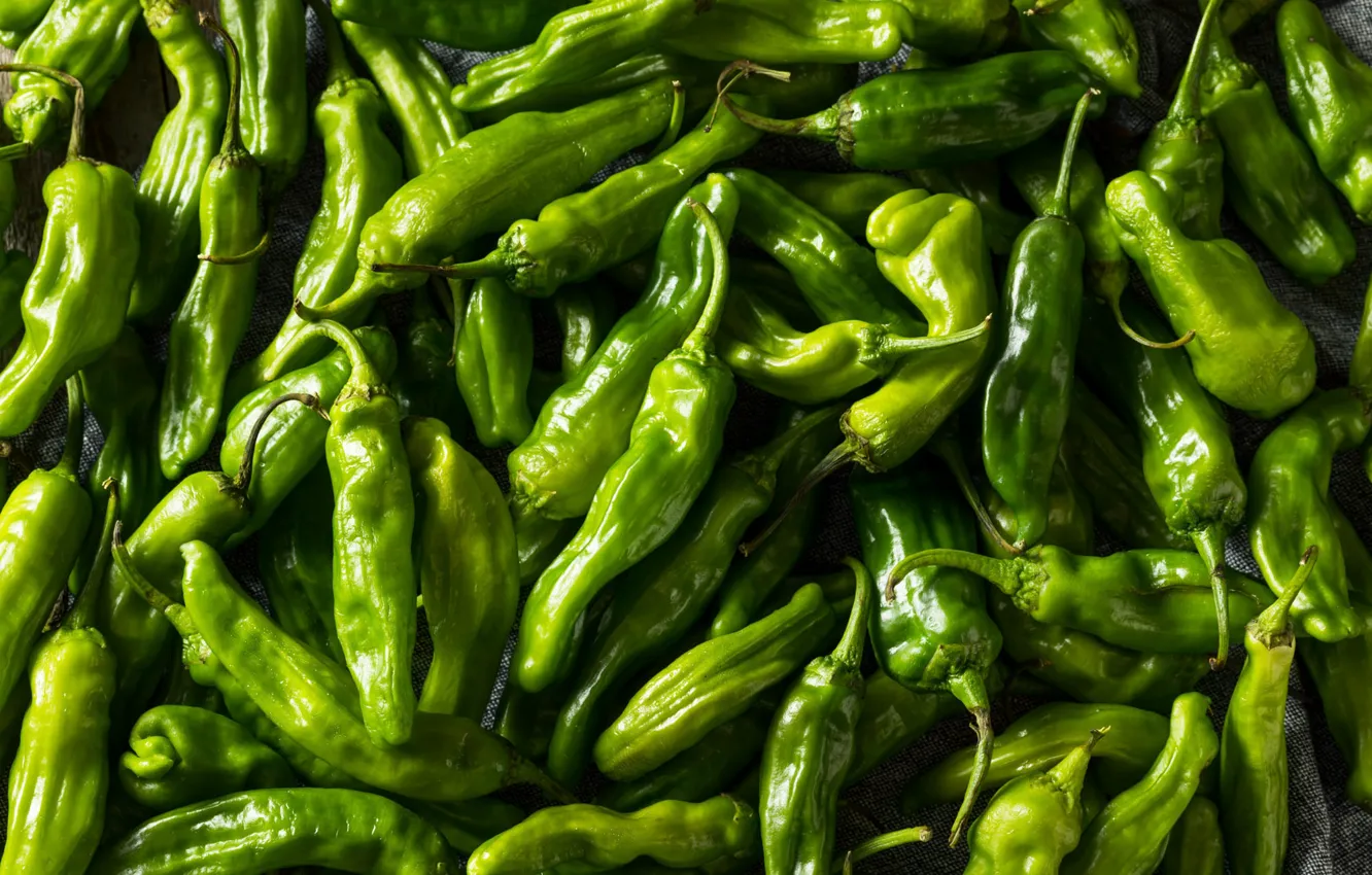 Photo wallpaper green, harvest, fruit, pepper, sharp, a lot, bitter, pods