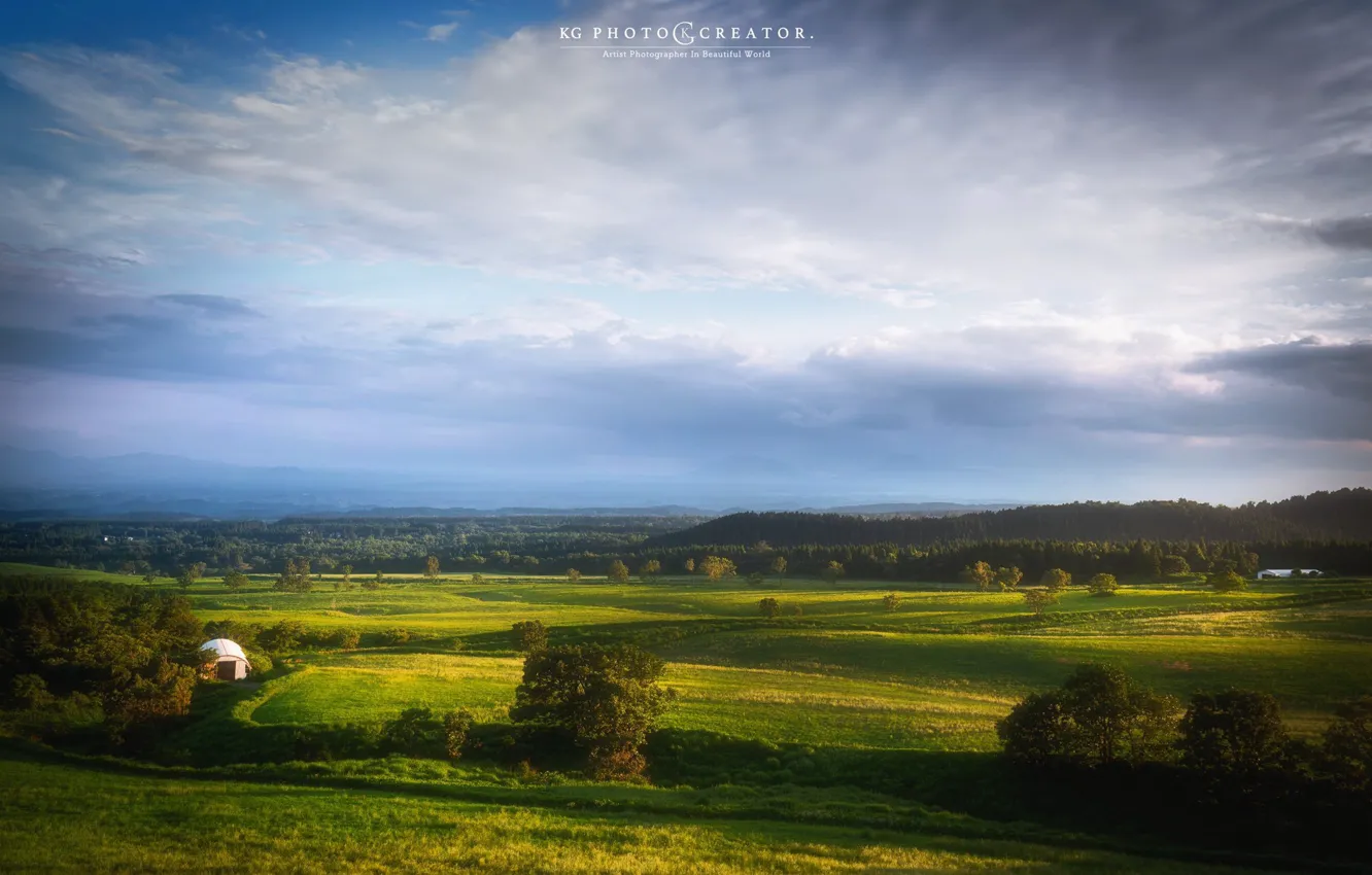 Photo wallpaper field, forest, the sky, mountains, nature