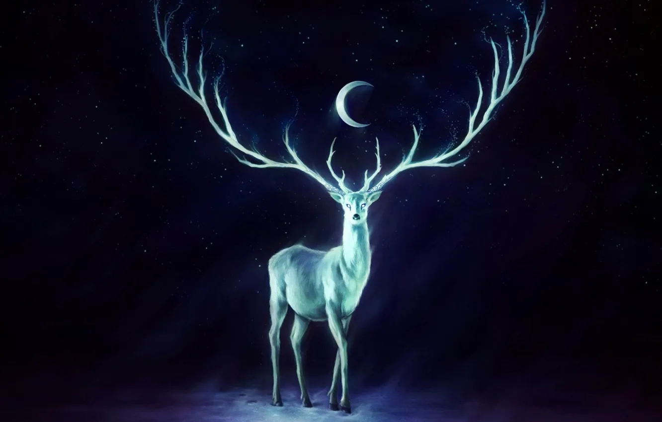 Photo wallpaper wallpapers, painting, White Peacock