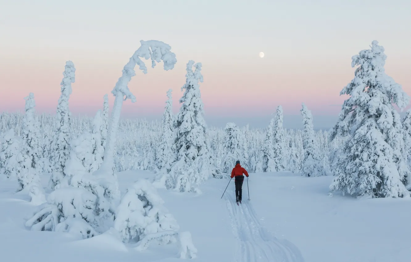 Photo wallpaper sunset, snow, Finland, skiing, Winter Wonderland