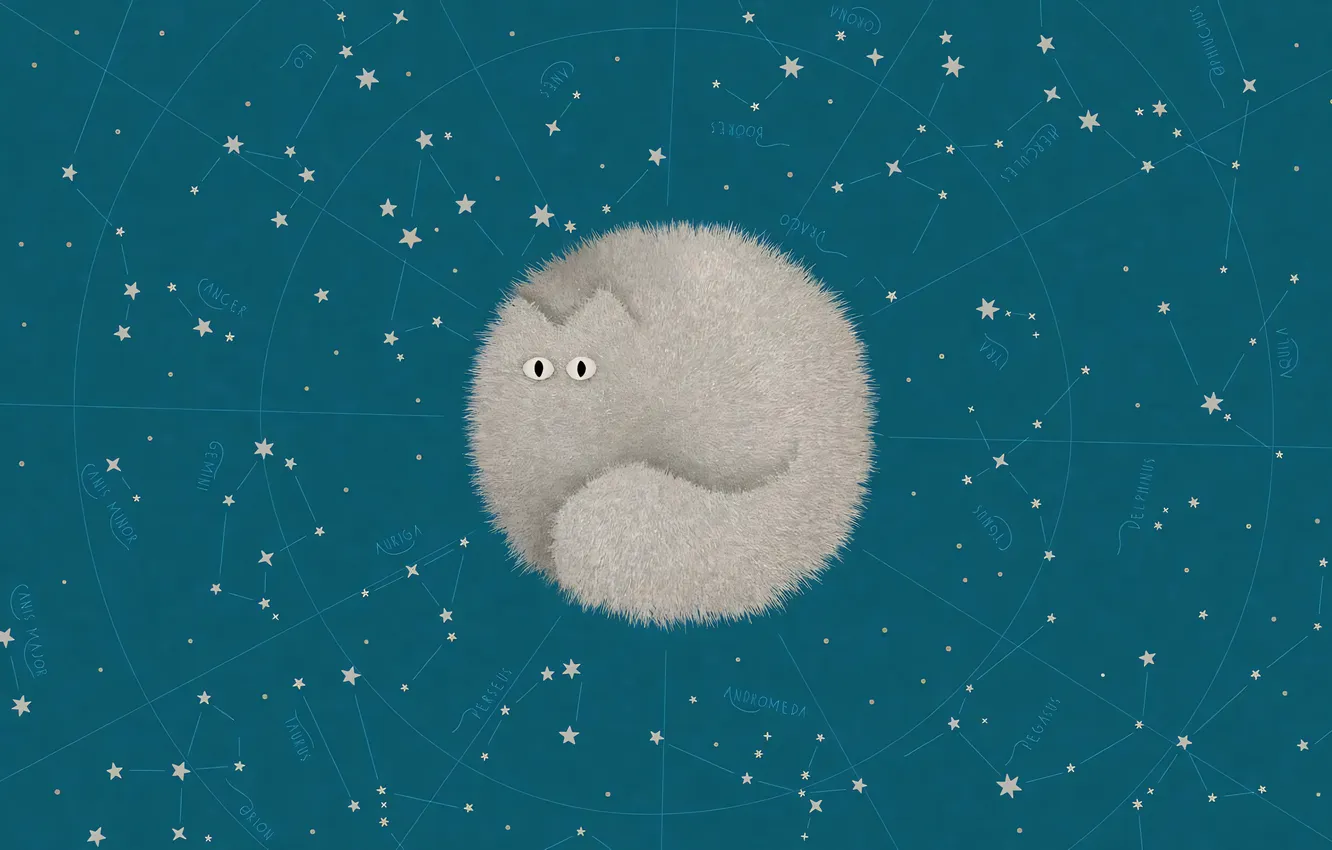 Photo wallpaper cat, balls, map, vladstudio