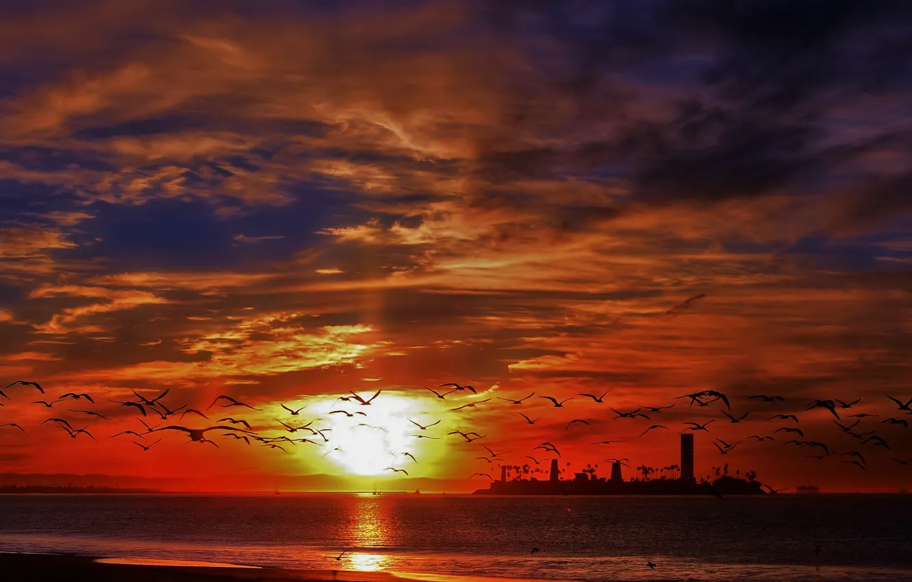 Photo wallpaper sea, the sky, sunset, birds, island, beauty