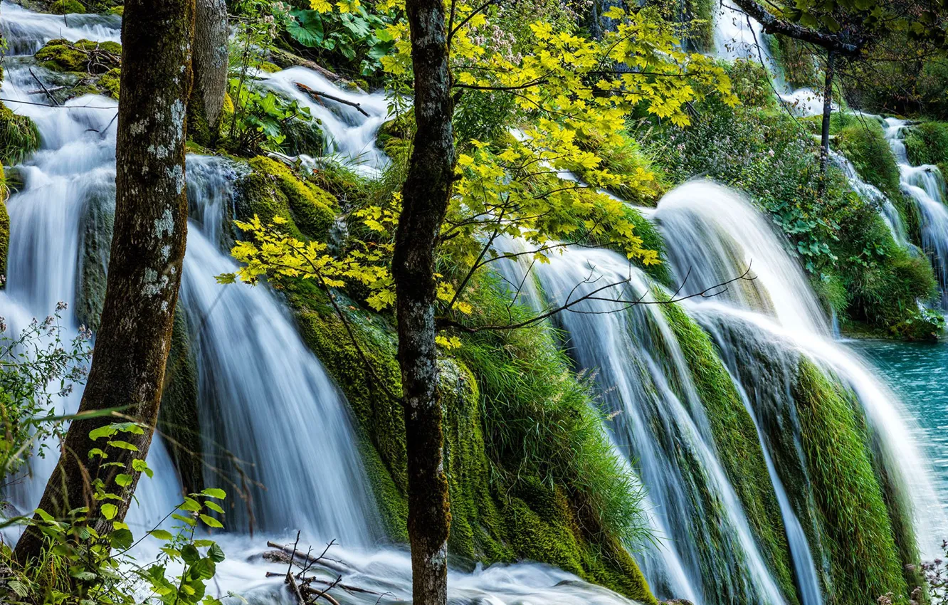 Photo wallpaper greens, waterfall, Croatia, Plitvice lakes