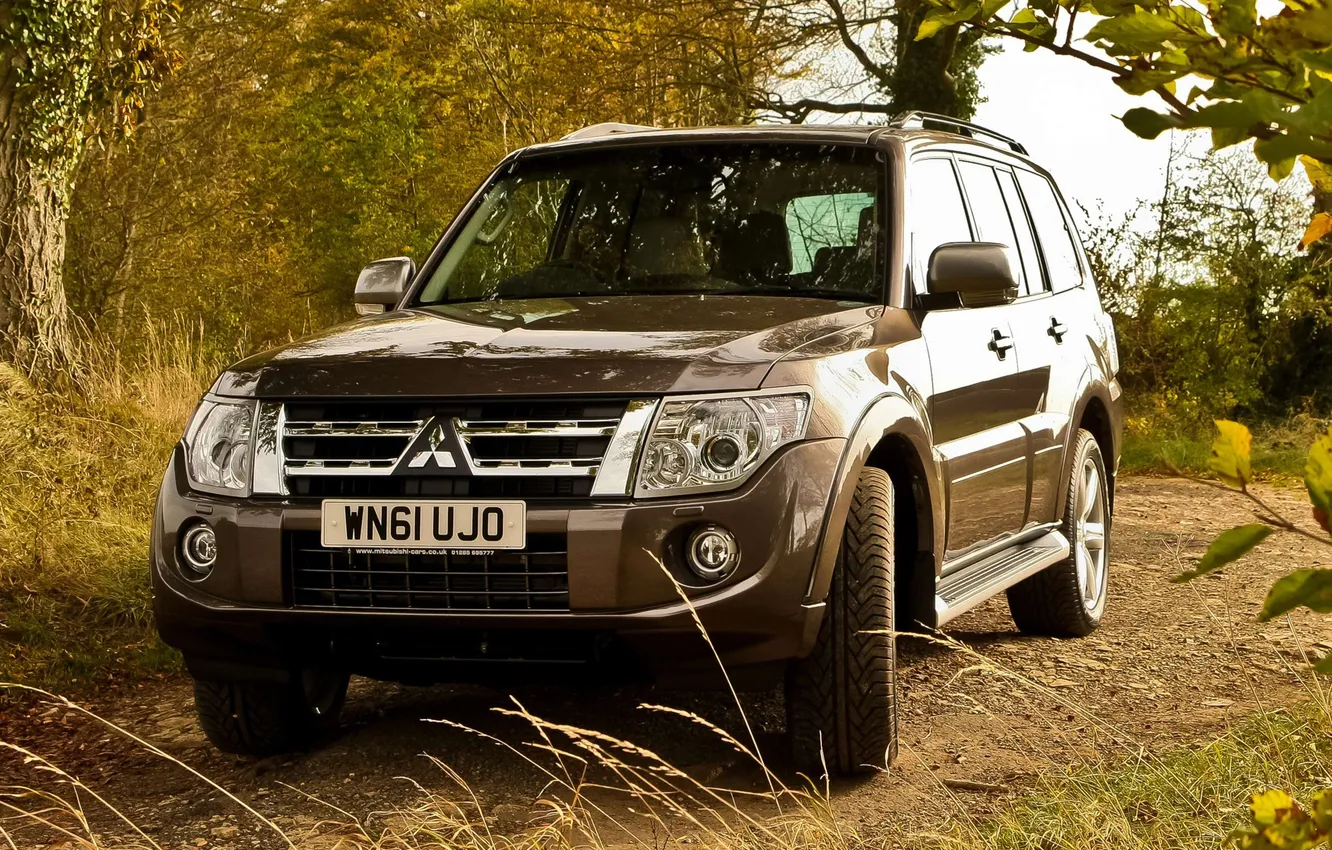Photo wallpaper forest, grass, trees, branches, jeep, SUV, Mitsubishi, ears