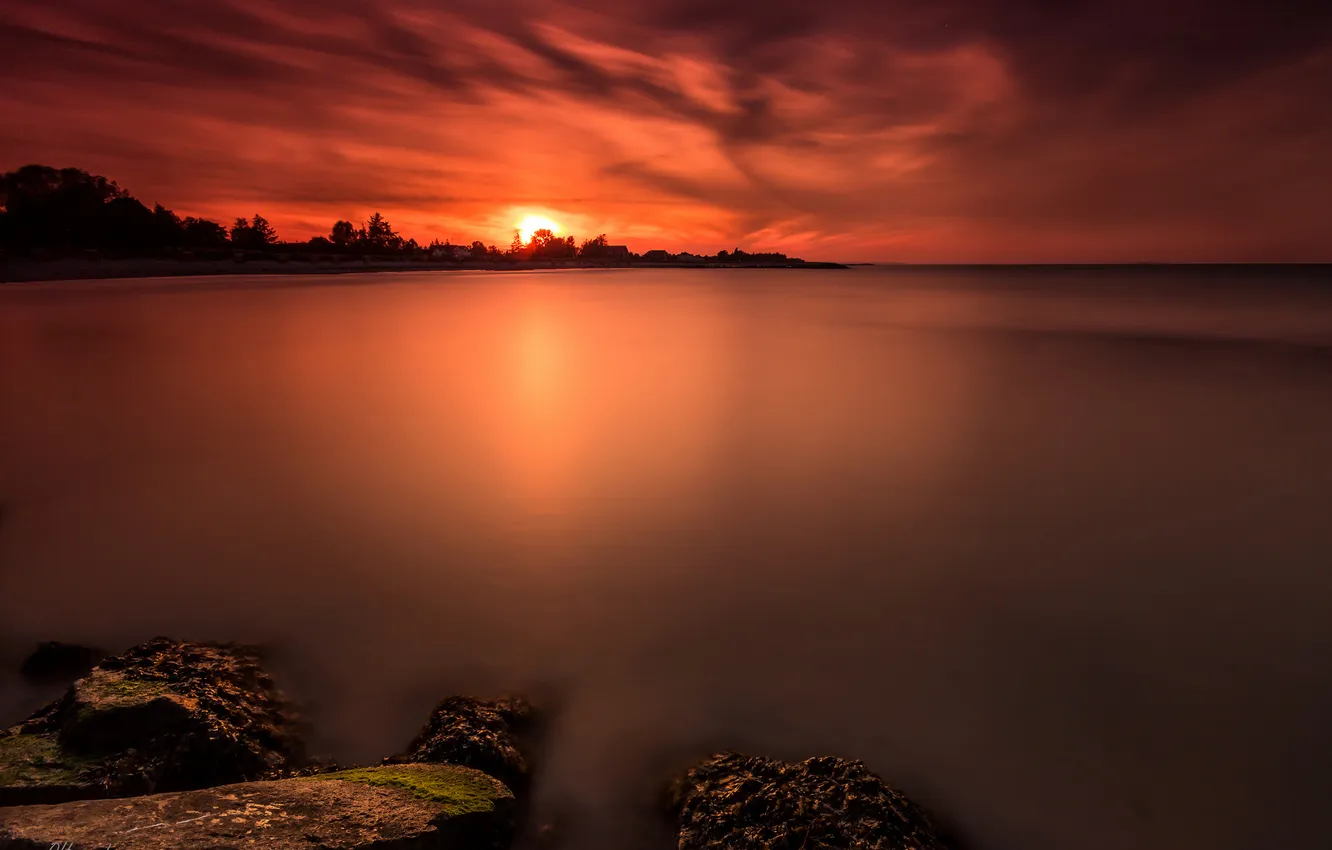Photo wallpaper sea, the sky, the sun, clouds, trees, sunset, stones