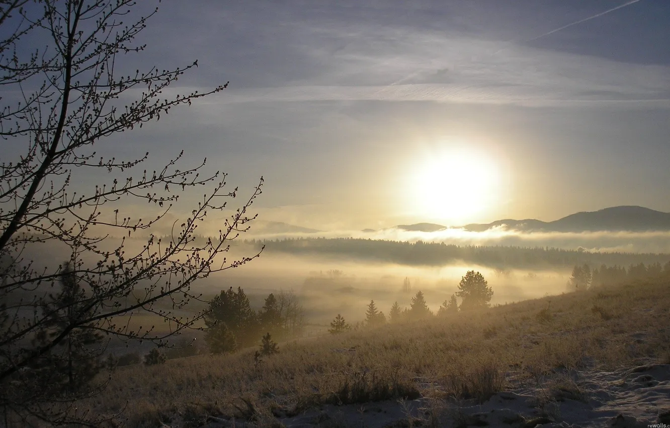 Photo wallpaper nature, fog, dawn, morning, forest, river, trees, steam