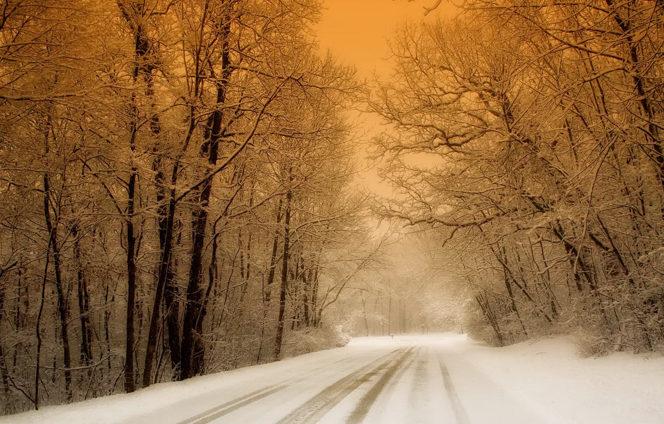 Photo wallpaper road, snow, trees