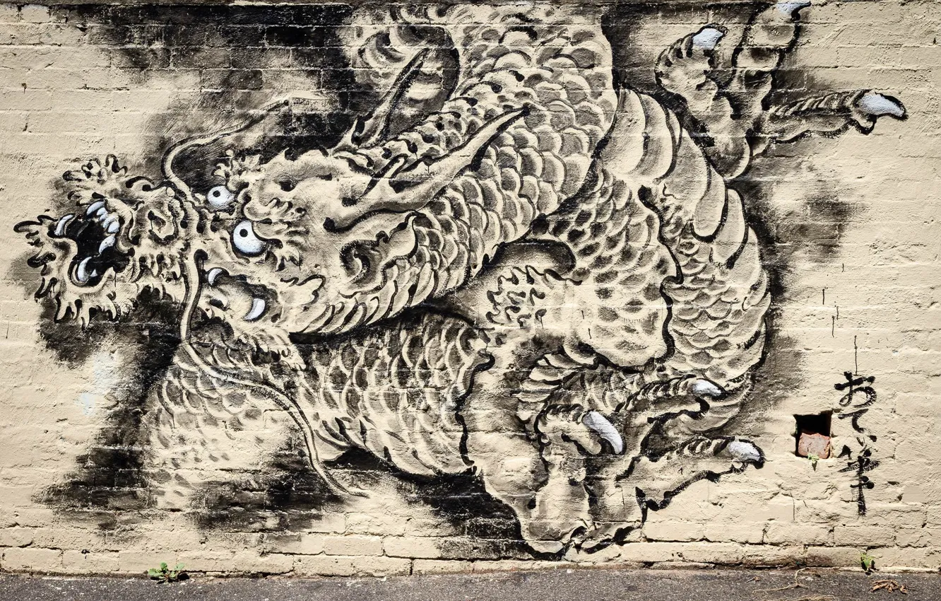 Photo wallpaper wall, graffiti, dragon, graffiti