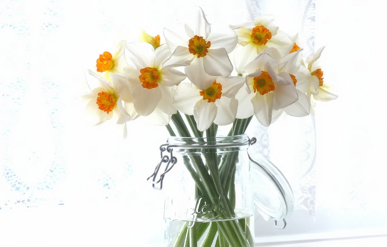 Photo wallpaper bouquet, Bank, daffodils