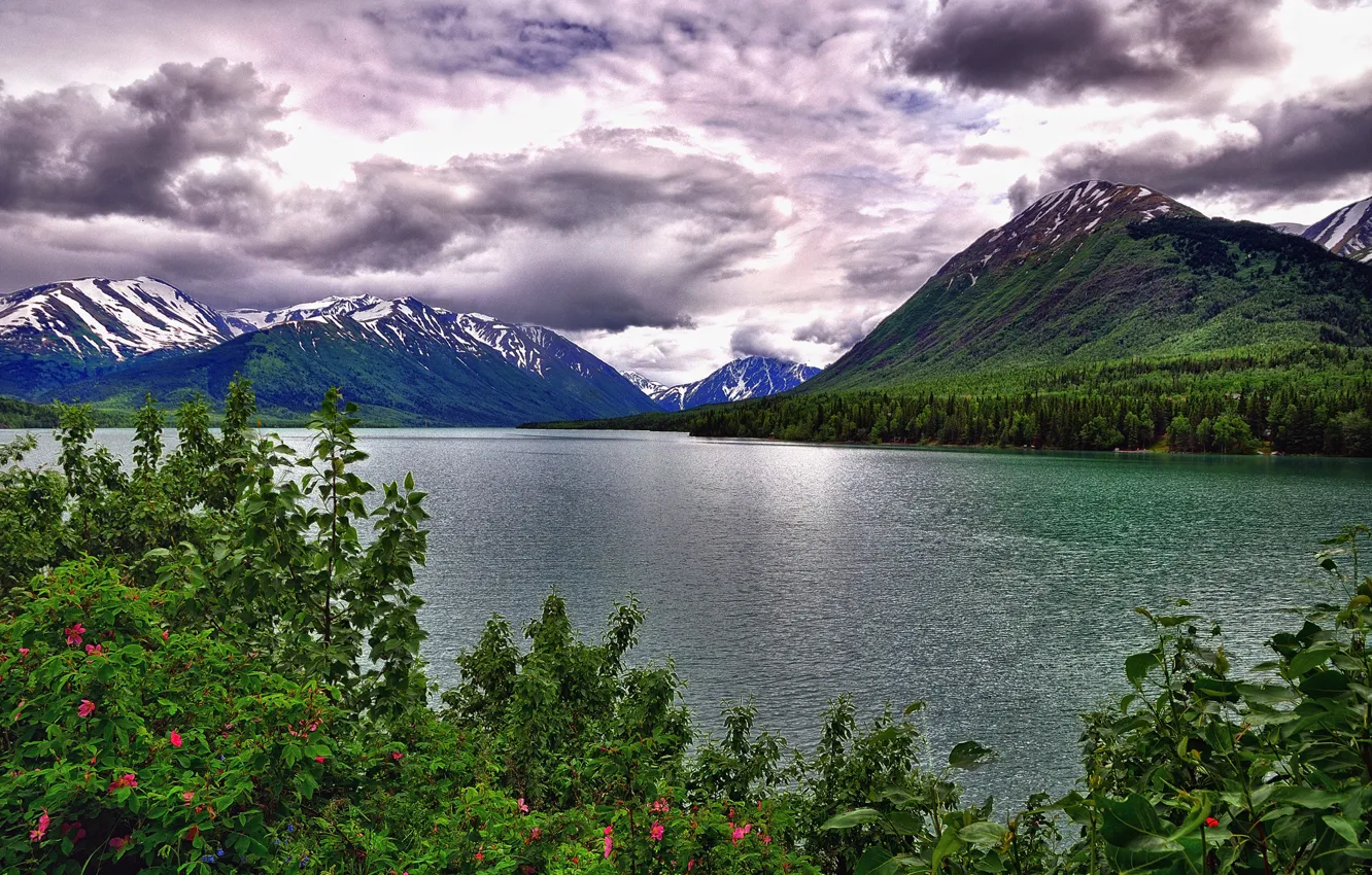 Photo wallpaper the sky, clouds, trees, flowers, mountains, lake, the bushes